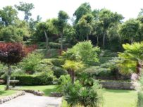 parc 7